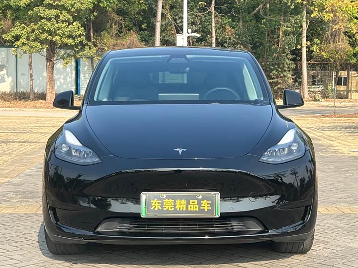 Фото 2 - Tesla Model Y