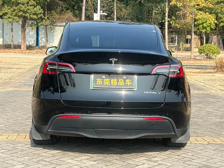 Фото 5 - Tesla Model Y