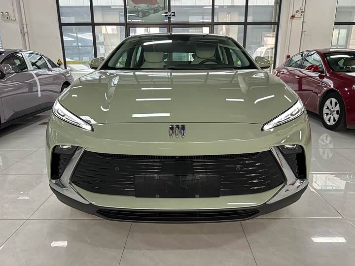 Фото 4 - Buick Electra E4