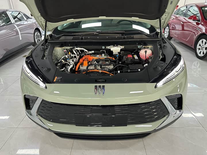 Фото 5 - Buick Electra E4