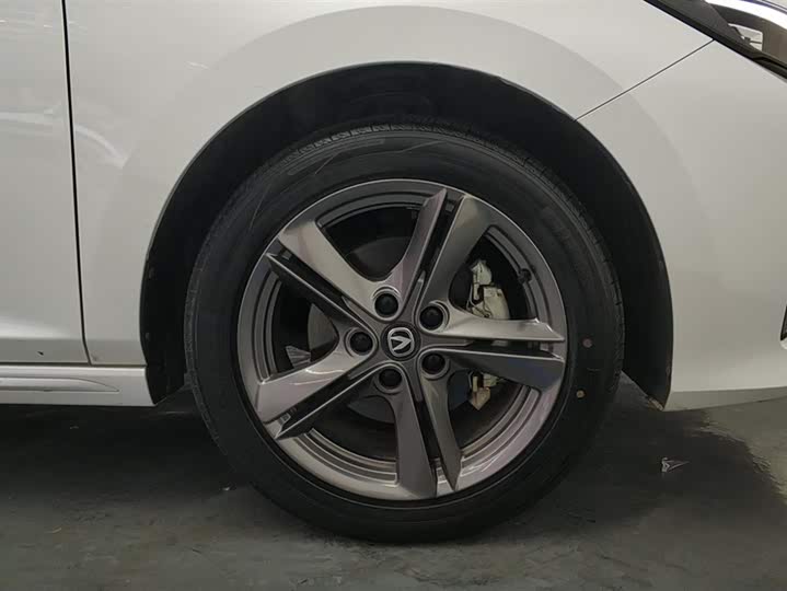 Фото 6 - Changan Raeton Plus