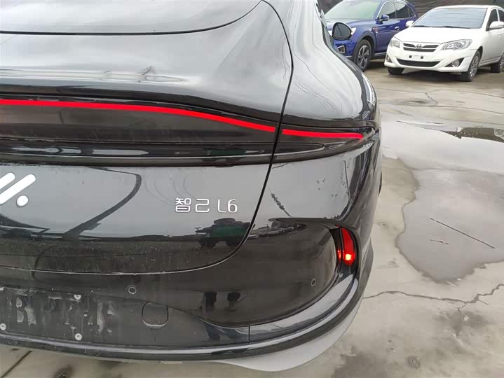 Фото 8 - IM motors L6