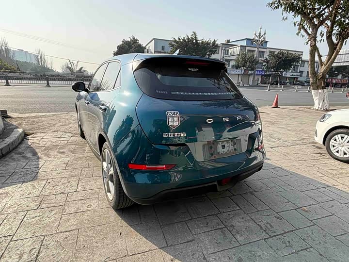 Фото 8 - Ora Good Cat (03)