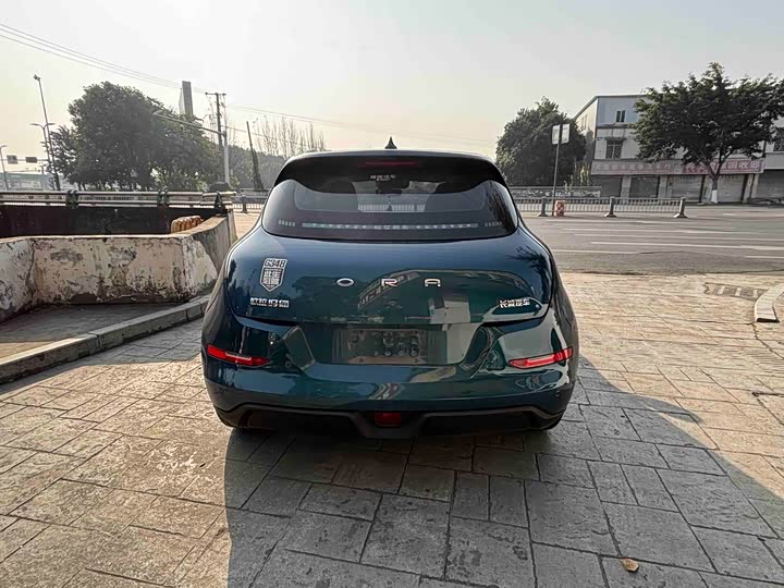 Фото 9 - Ora Good Cat (03)