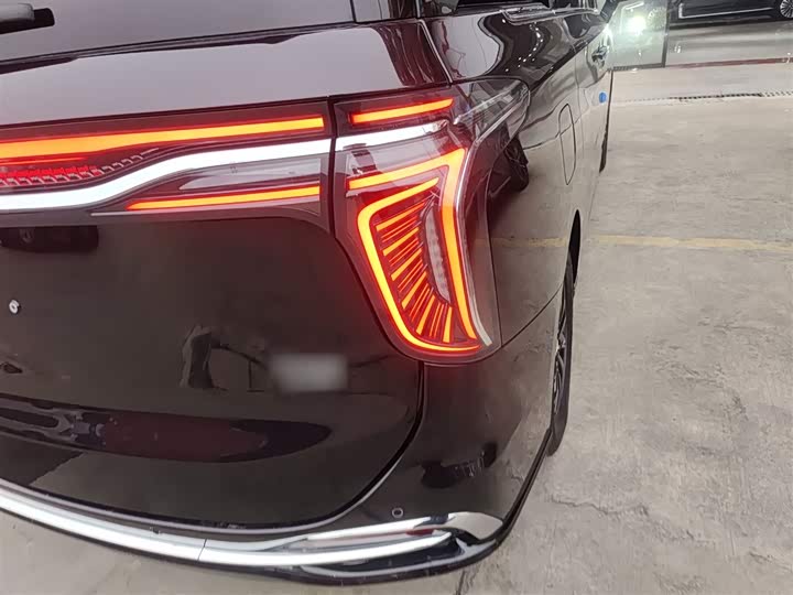 Фото 8 - Hongqi HQ9 Hybrid