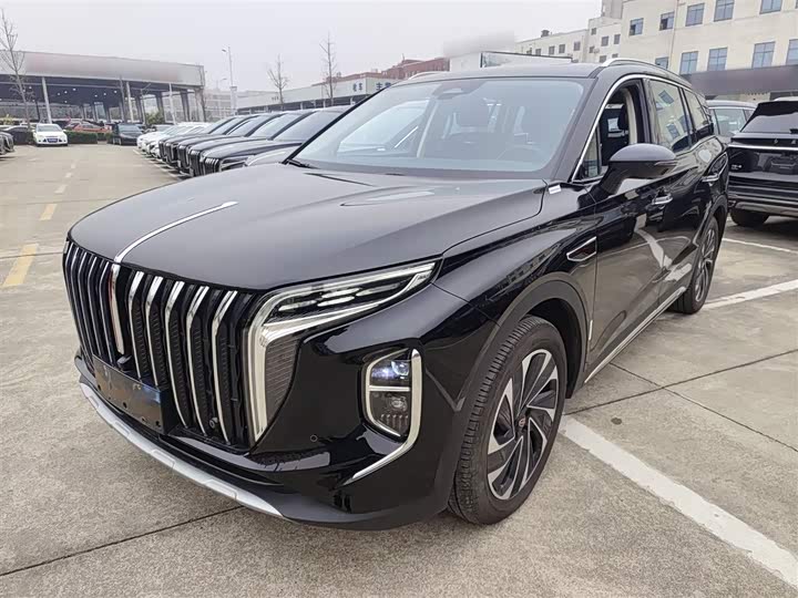 Фото 2 - Hongqi HS7 Hybrid