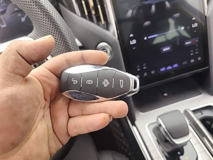 Фото 9 - Hongqi HS7 Hybrid