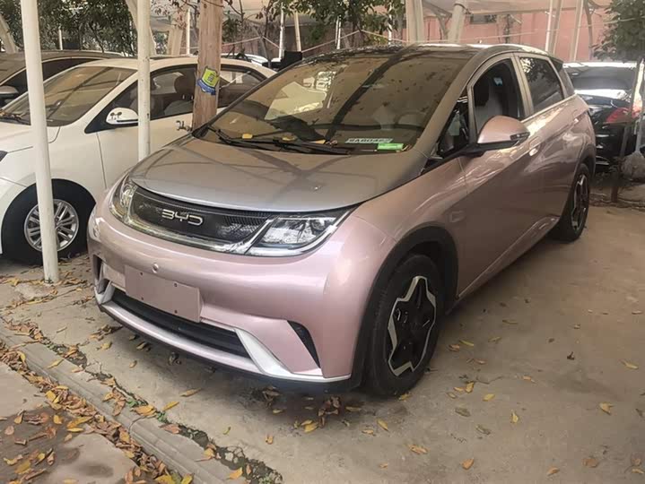 Фото 1 - BYD Dolphin