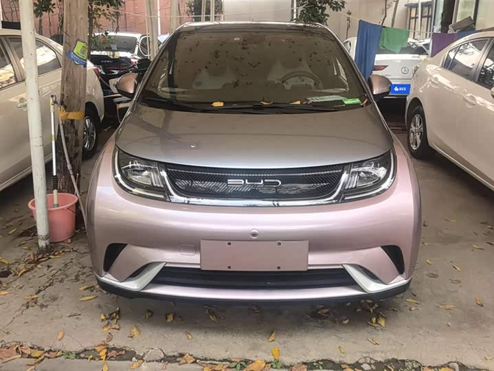 Фото 2 - BYD Dolphin