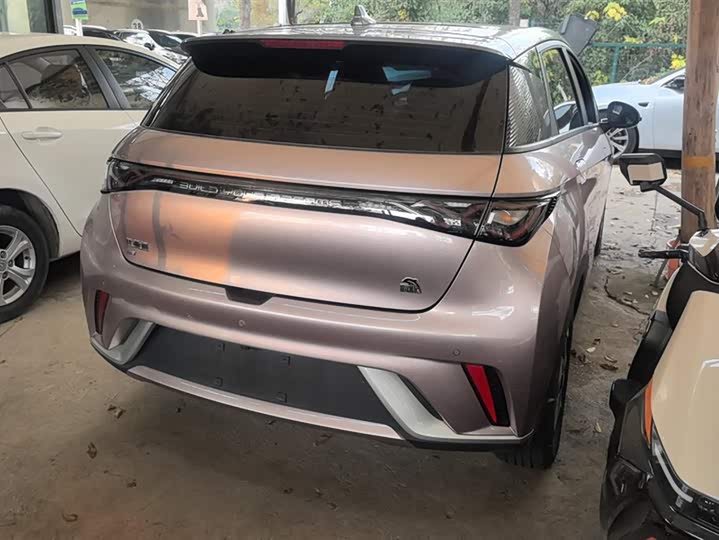 Фото 3 - BYD Dolphin