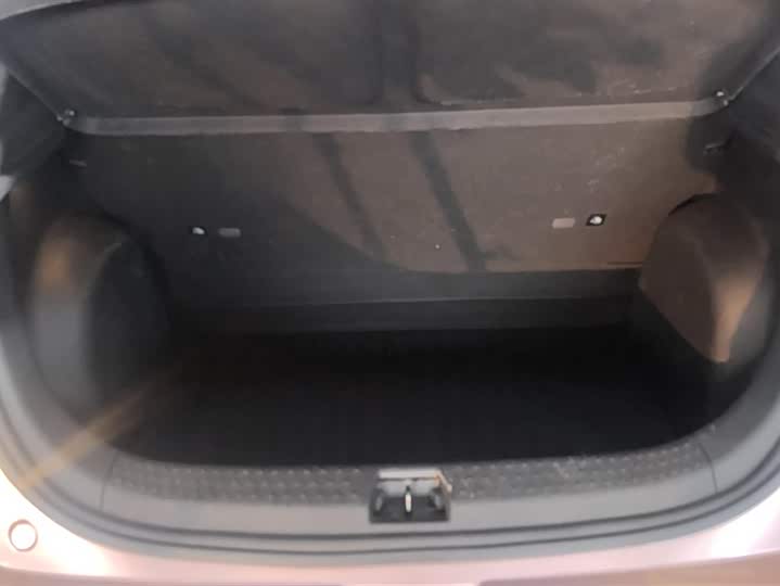 Фото 4 - BYD Dolphin