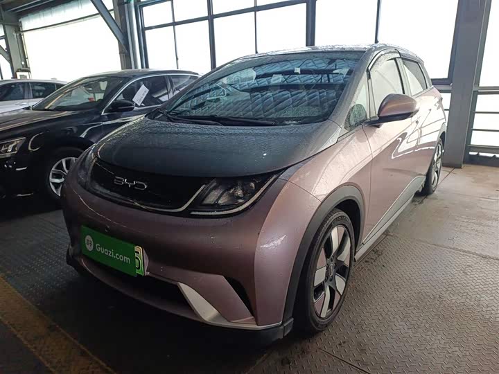 Фото 2 - BYD Dolphin