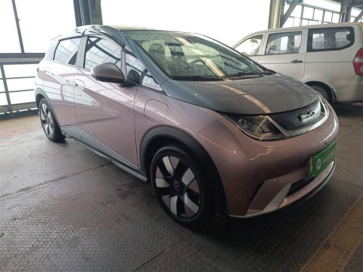 Фото 4 - BYD Dolphin