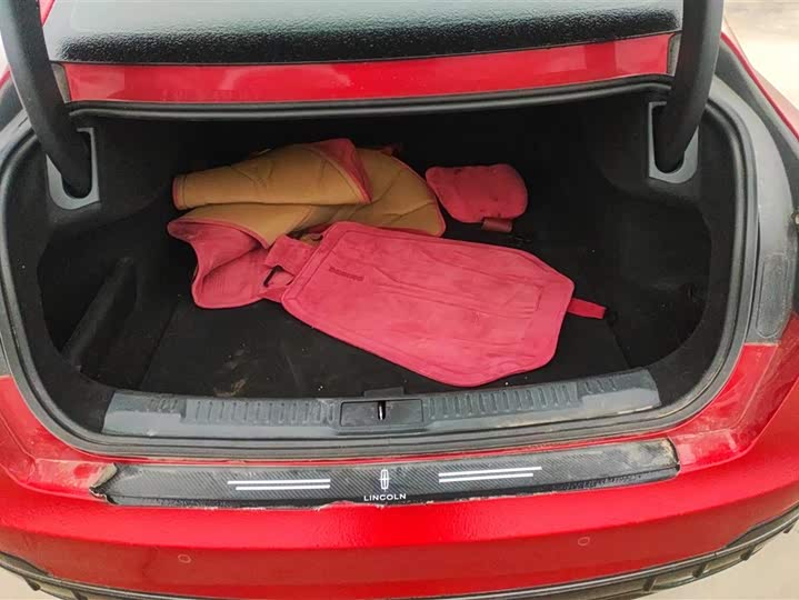 Фото 4 - Lincoln Z (Zephyr)