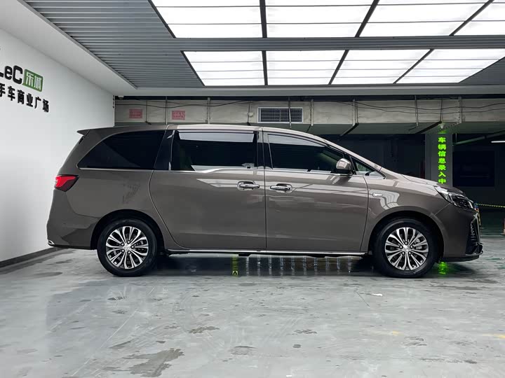 Фото 4 - Buick GL8 ES