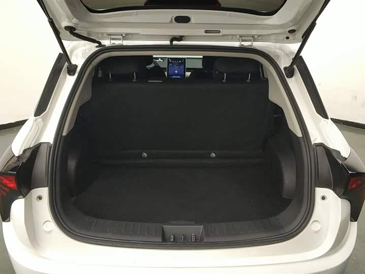 Фото 4 - Hozon V