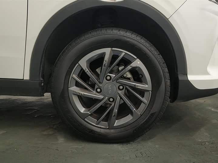 Фото 6 - Hozon V