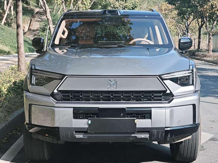 Фото 2 - Dongfeng Mengshi M18-3