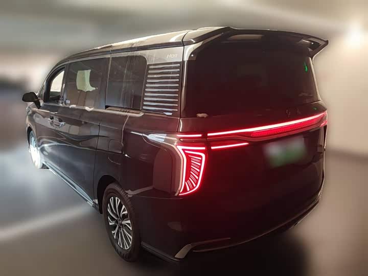 Фото 9 - Hongqi HQ9 Hybrid