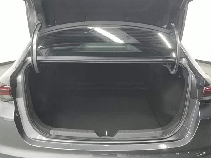 Фото 4 - GAC Trumpchi Empow R