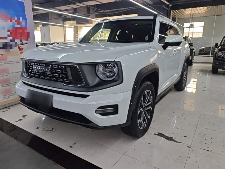 Фото 2 - Haval H-Dog