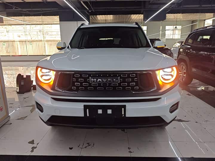 Фото 3 - Haval H-Dog