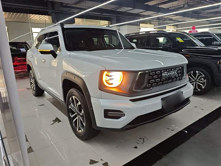 Фото 4 - Haval H-Dog