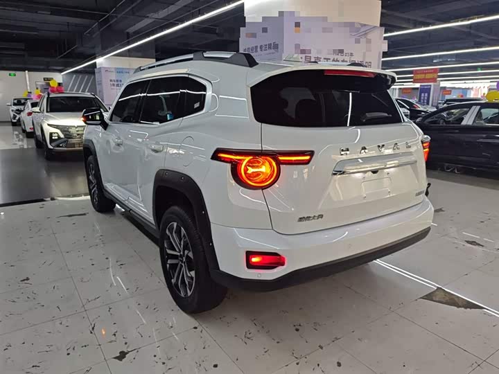 Фото 5 - Haval H-Dog