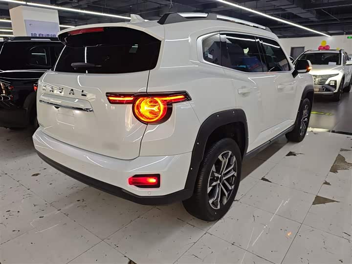 Фото 7 - Haval H-Dog