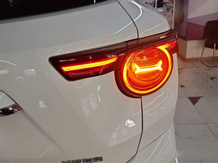 Фото 8 - Haval H-Dog