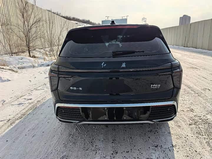 Фото 5 - Hongqi HS3 Hybrid