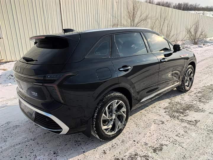 Фото 7 - Hongqi HS3 Hybrid