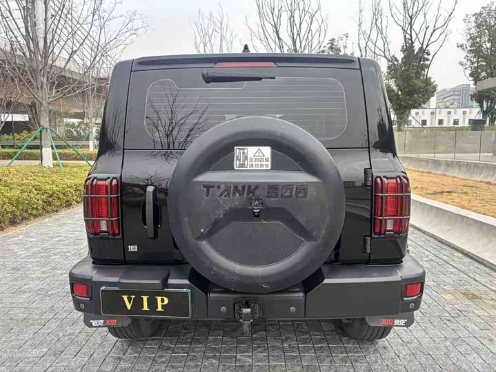 Фото 7 - Tank 300