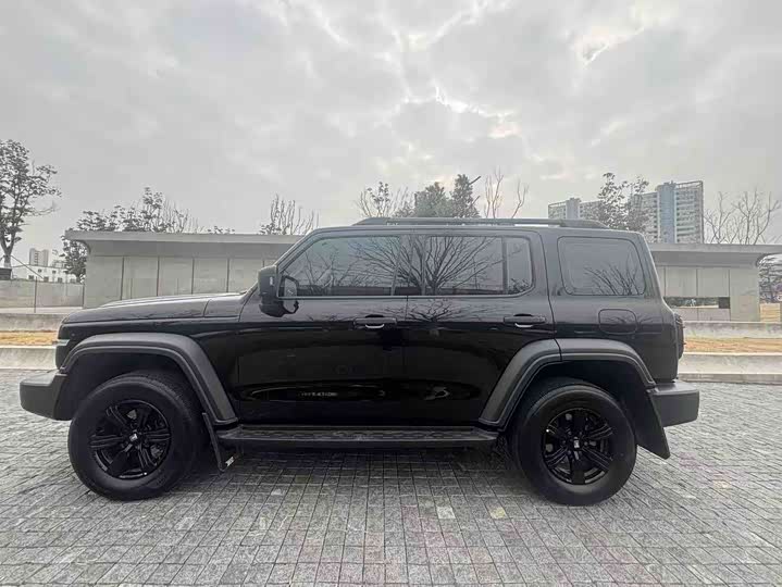 Фото 9 - Tank 300