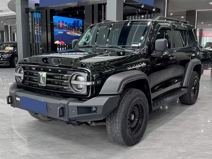 Фото 1 - Tank 300