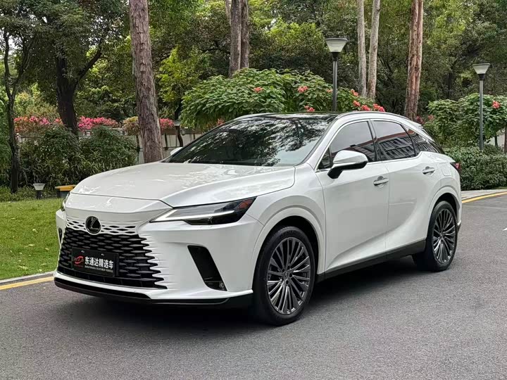 Фото 1 - Lexus RX