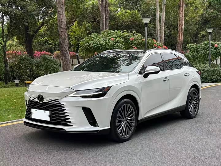 Фото 2 - Lexus RX