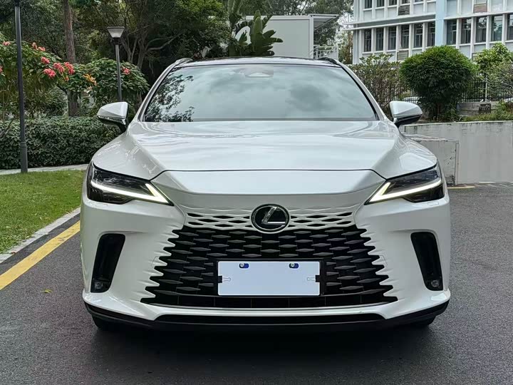 Фото 3 - Lexus RX