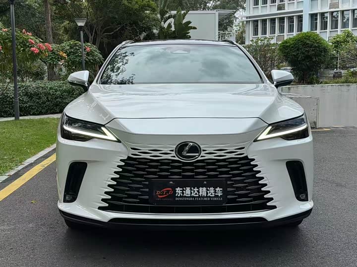 Фото 4 - Lexus RX