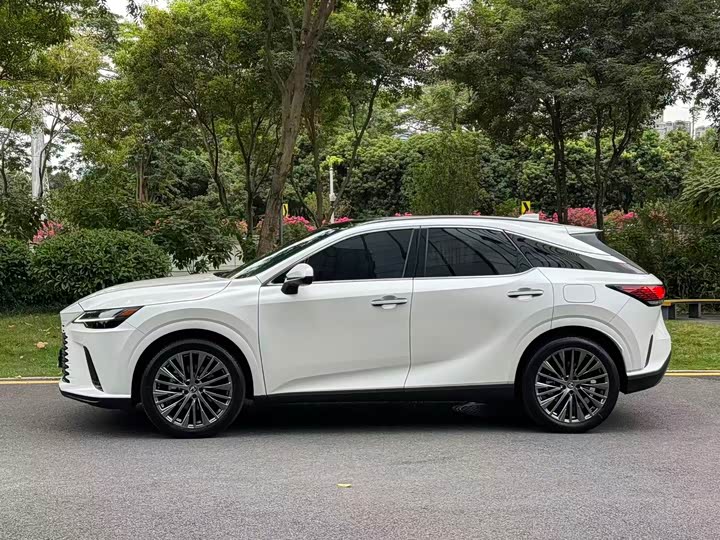 Фото 5 - Lexus RX