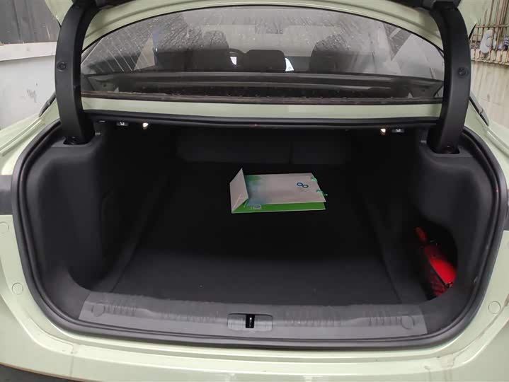 Фото 4 - Hongqi EH7