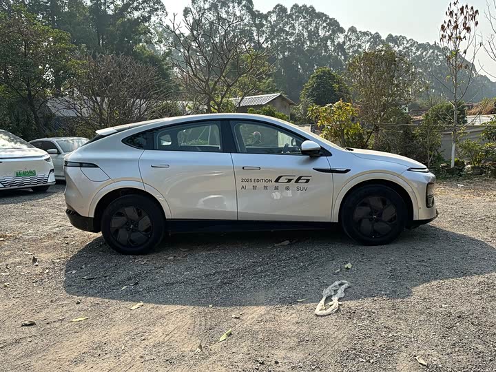 Фото 4 - XPeng G6