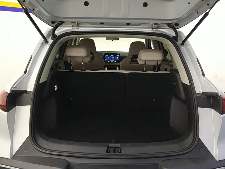 Фото 4 - BYD Yuan Up