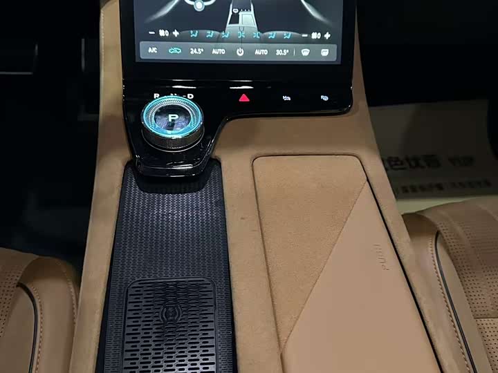 Фото 4 - Voyah Passion