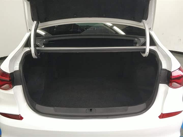 Фото 4 - Chevrolet Monza