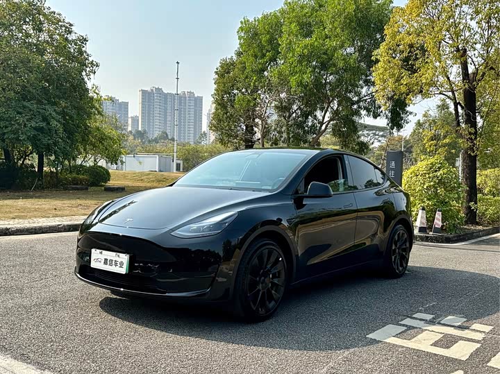 Фото 1 - Tesla Model Y