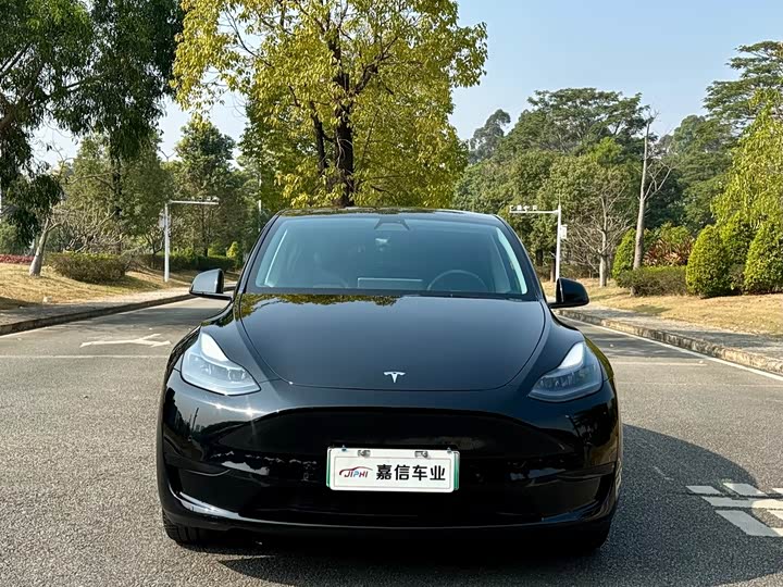 Фото 2 - Tesla Model Y