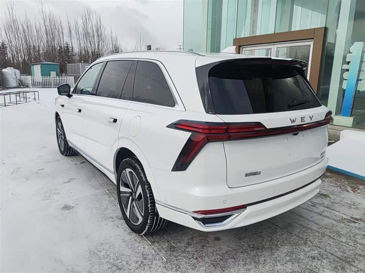 Фото 5 - Wey Lanshan