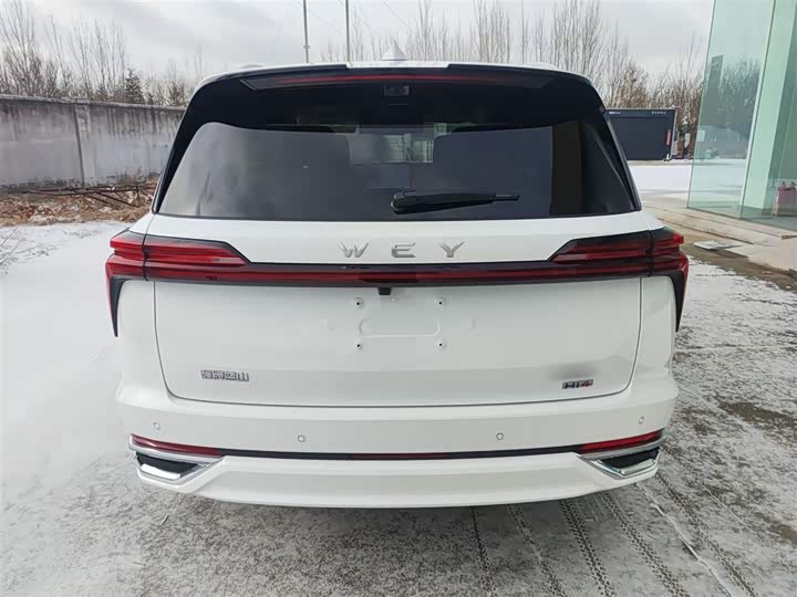 Фото 6 - Wey Lanshan