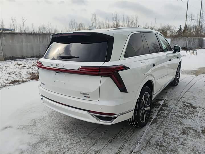 Фото 7 - Wey Lanshan